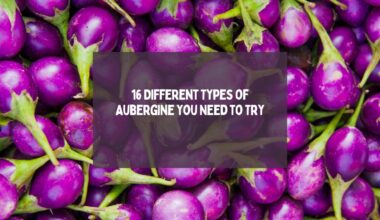 Verities of Aubergine - Types of Eggplants