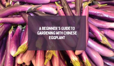 A Beginner's Guide to Gardening with Chinese Eggplant