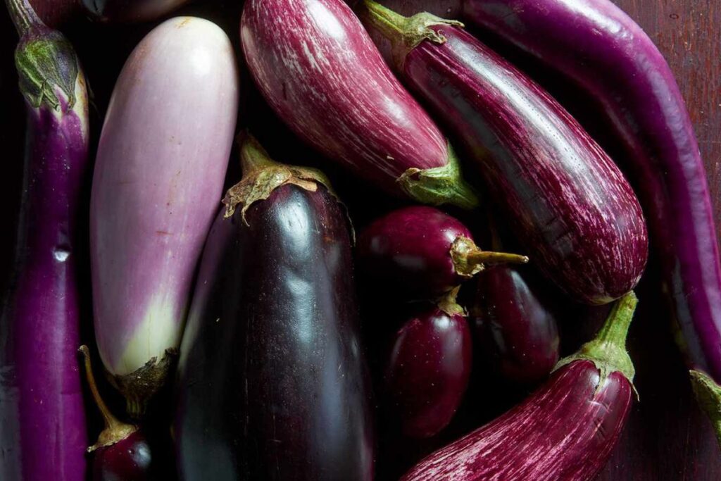 Chinese Eggplant Varieties