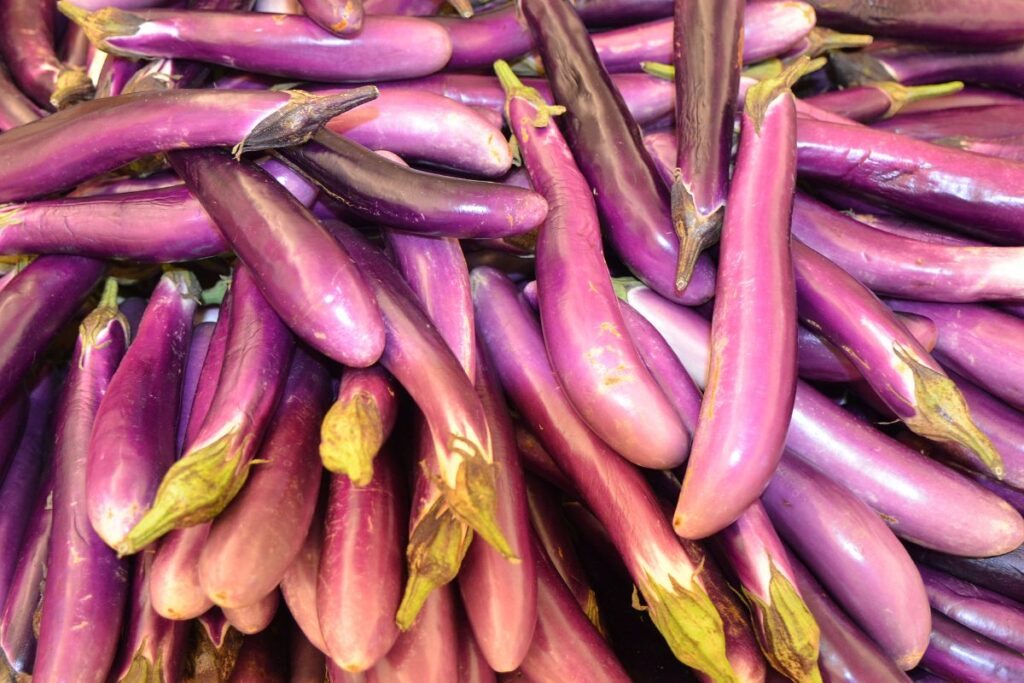 Chinese Eggplants