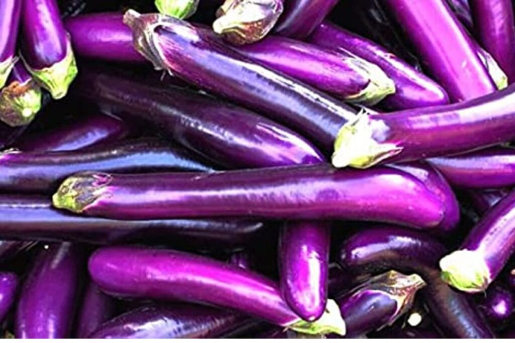 How To Care For Chinese Eggplants After Planting