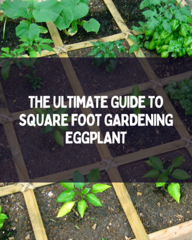 Square-Foot Gardening