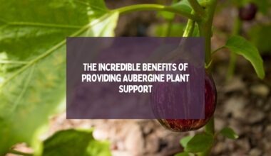 Benefits of Providing Aubergine Plant Support