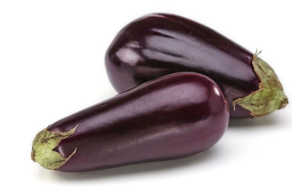 A Brief History of the American Eggplant