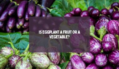 Is Eggplant a Fruit or a Vegetable