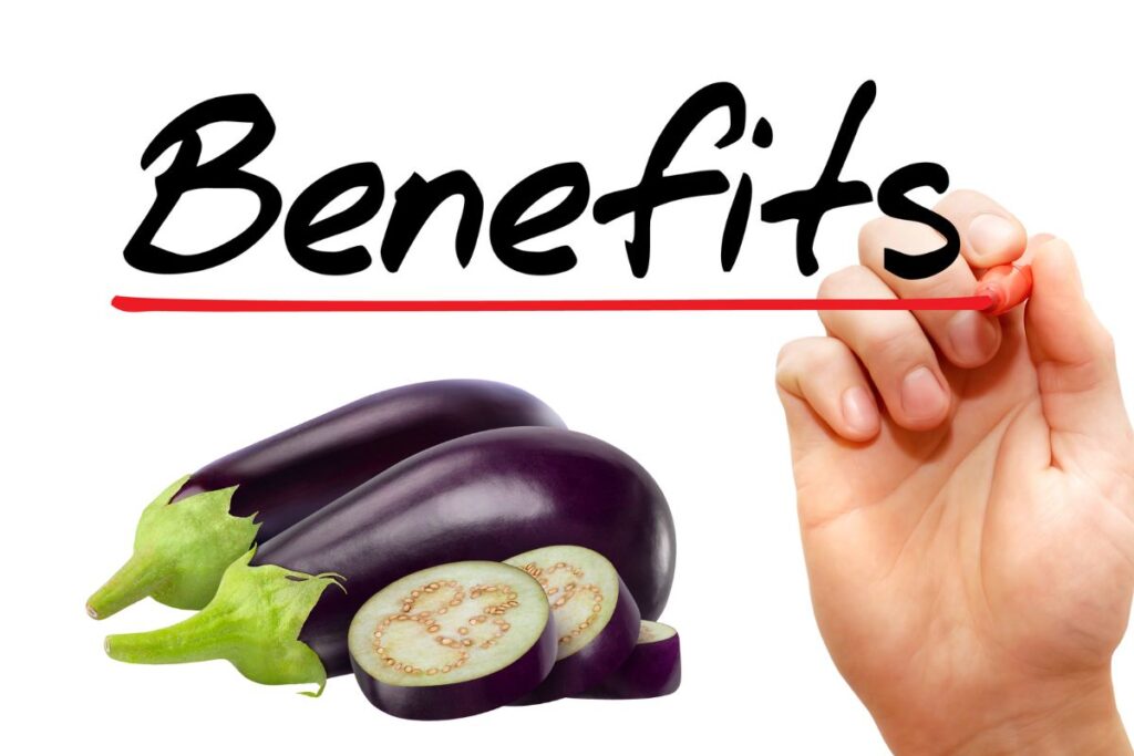 Nutritional Benefits of American Eggplants