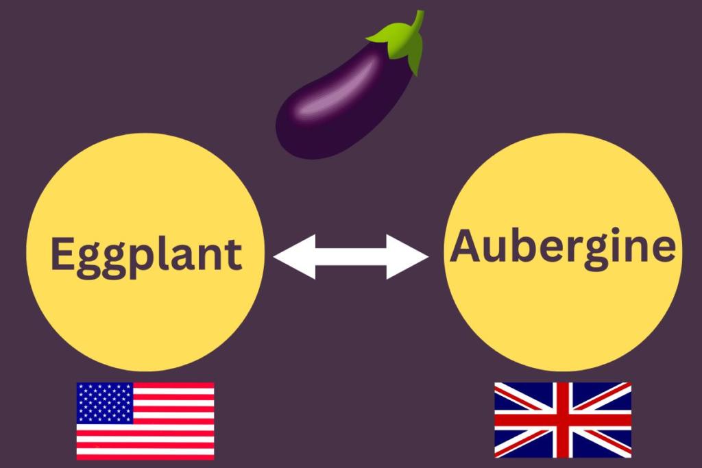 What Are Eggplants Called in England?
